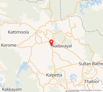 Map of Panamaram, Kerala