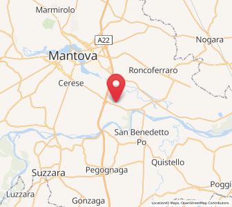 Map of Bagnolo San Vito, Lombardy