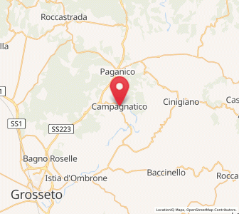 Map of Campagnatico, Tuscany