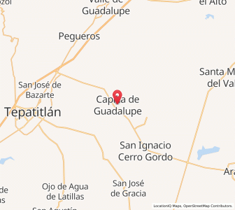 Map of Capilla de Guadalupe, Jalisco