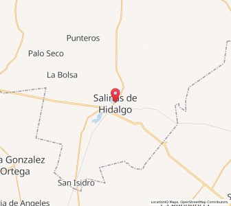 Map of Salinas de Hidalgo, San Luis Potosí