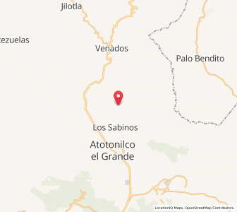 Map of San Martín, Hidalgo