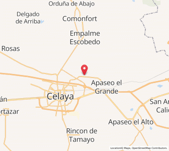 Map of San Miguel Octopan, Guanajuato