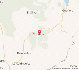 Map of Tuzantla, Michoacán