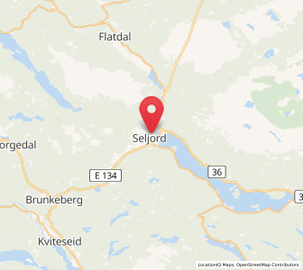 Map of Seljord, Vestfold og Telemark