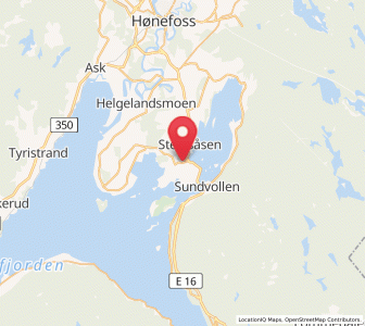 Map of Vik, Buskerud
