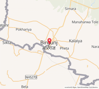 Map of Birgañj, Province 2