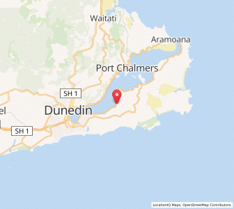 Map of Macandrew Bay, Otago