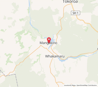 Map of Mangakino, Waikato