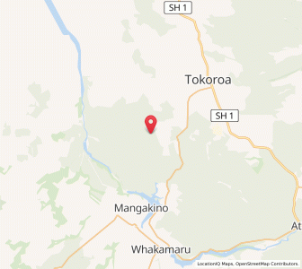 Map of Puketutu, Waikato