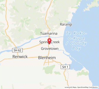 Map of Spring Creek, Marlborough