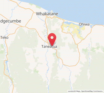 Map of Taneatua, Bay of Plenty