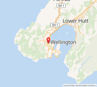 Map of Te Aro, Wellington