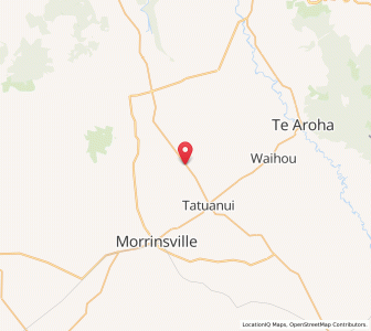 Map of Te Puninga, Waikato