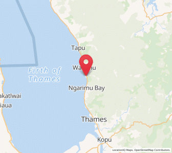 Map of Te Puru, Waikato