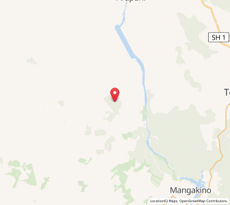 Map of Wharepuhunga, Waikato