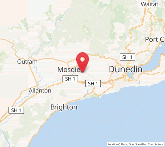 Map of Wingatui, Otago