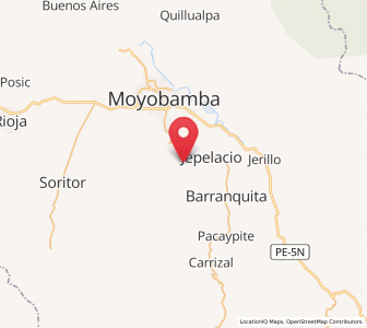 Map of Jepelacio, San Martín