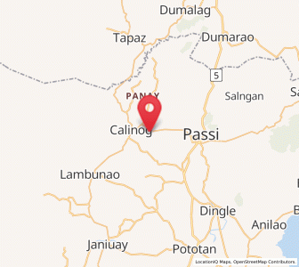 Map of Calinog, Western Visayas