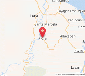 Map of Flora, Cordillera