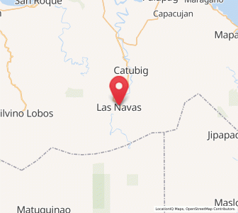 Map of Las Navas, Eastern Visayas