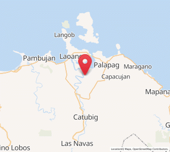 Map of Viga, Eastern Visayas