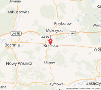 Map of Brzesko, Lesser Poland