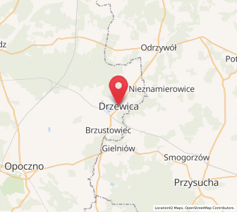Map of Drzewica, Łódź Voivodeship