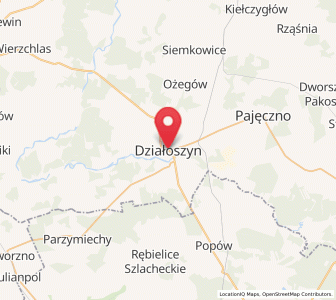 Map of Działoszyn, Łódź Voivodeship