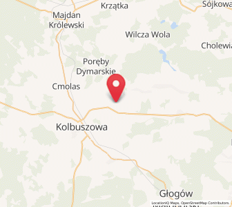 Map of Dzikowiec, Subcarpathia