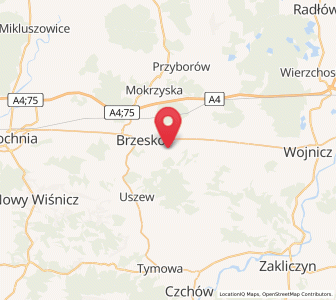 Map of Jadowniki, Lesser Poland