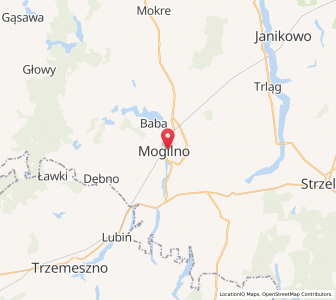 Map of Mogilno, Kujawsko-Pomorskie