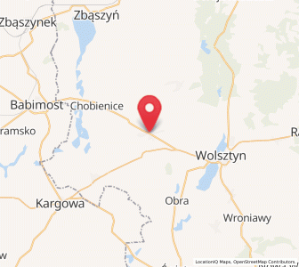 Map of Siedlec, Greater Poland
