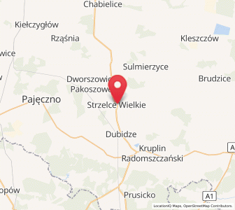 Map of Strzelce Wielkie, Łódź Voivodeship