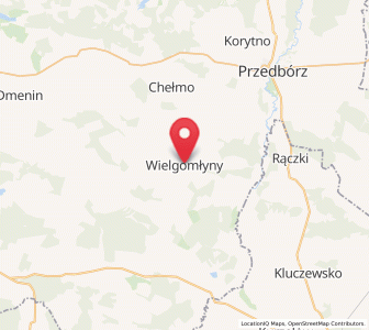 Map of Wielgomłyny, Łódź Voivodeship