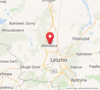 Map of Wilkowice, Greater Poland