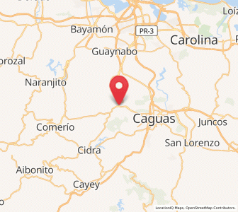 Map of Aguas Buenas