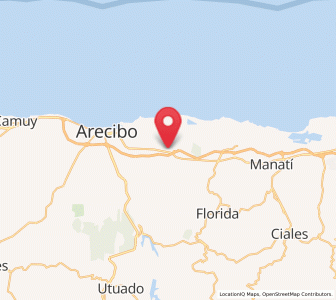 Map of Animas, Arecibo