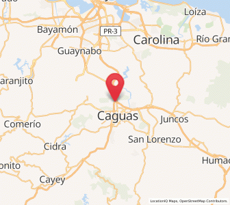 Map of Bairoa, Caguas