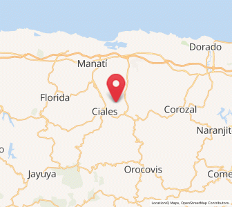 Map of Barahona, Morovis