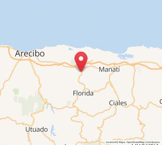 Map of Bufalo, Barceloneta