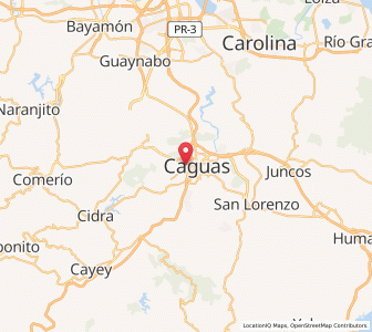 Map of Caguas