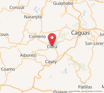 Map of Cidra