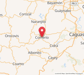 Map of Comerío
