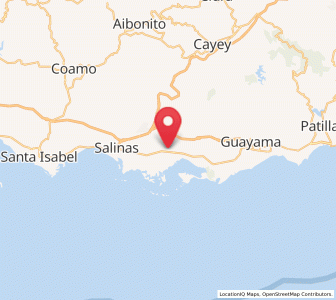 Map of Coquí, Salinas