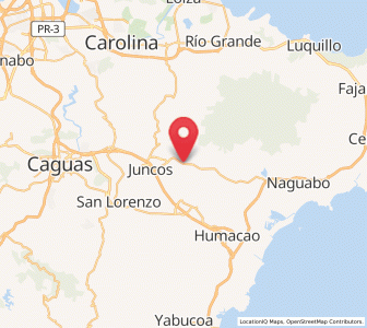 Map of El Mangó, Juncos