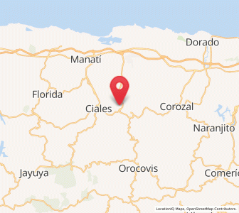 Map of Franquez, Morovis