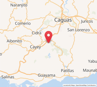 Map of G. L. Garcia, Cayey