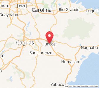 Map of Juncos