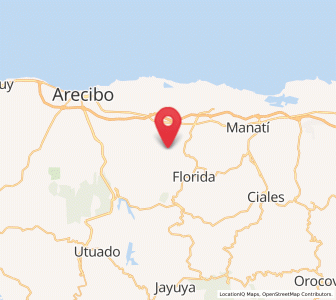 Map of La Alianza, Arecibo